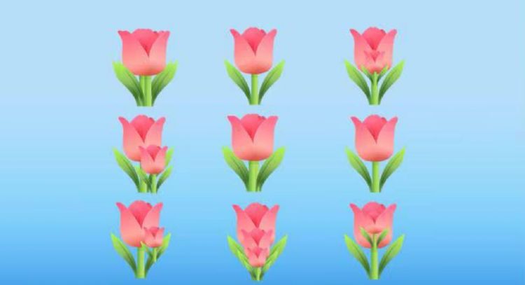 Escoge una cantidad de flores en la imagen y descubre algo oculto de tu personalidad