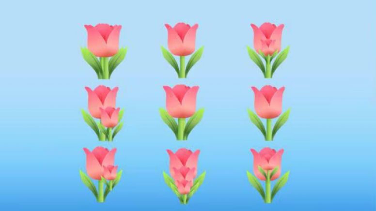 Escoge una cantidad de flores en la imagen y descubre algo oculto de tu personalidad