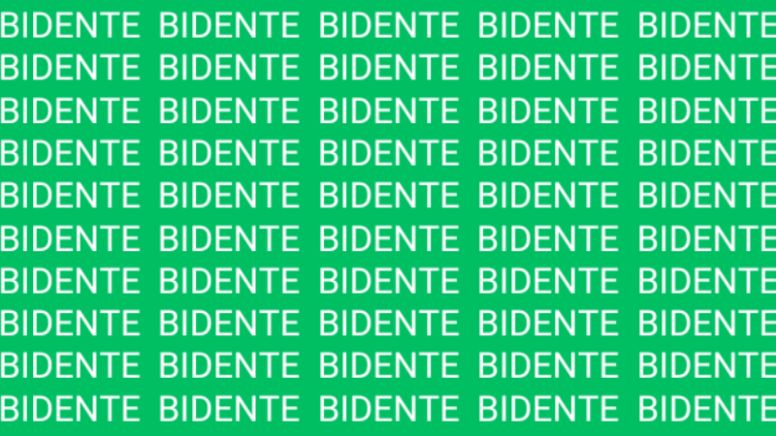 Solo una mente preparada puede encontrar la palabra 'Vidente' en menos de 5 segundos