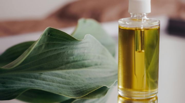 Dile adiós al acné con este aceite natural que regula el cebo y ayuda a la cicatrización