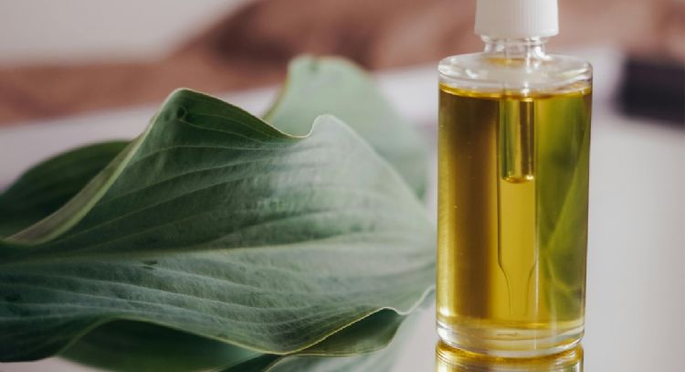Dile adiós al acné con este aceite natural que regula el cebo y ayuda a la cicatrización