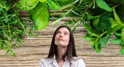 Cómo alejar la energía negativa con solo 1 planta que tienes en casa