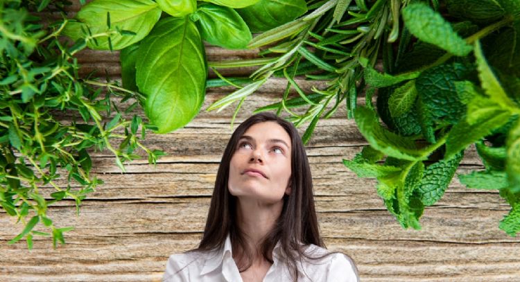 Cuál es la hierba aromática que está colmada de vitaminas y protege el corazón
