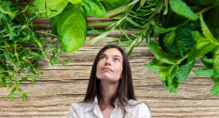 Cómo alejar la energía negativa con solo 1 planta que tienes en casa