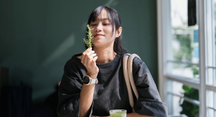 El ritual con romero para atraer dinero en el segundo semestre del año, según el Feng Shui