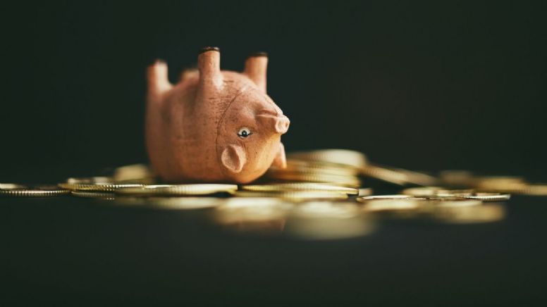 Cuál es el objeto que debes quitar cuanto antes de tu bolsa porque aleja el dinero, según el Feng Shui