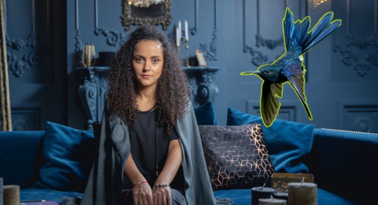 Tarot del Colibrí: este es el mensaje de las cartas para este 5 de junio