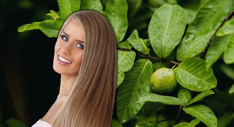 Conoce el método para alisar tu cabello con estos 2 ingredientes naturales