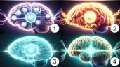 Foto ilustrativa de la nota titulada Escoge un cerebro y te diré tu nivel de inteligencia