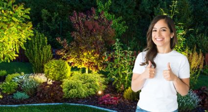 Estos son los mejores días de julio para sembrar y podar tus plantas, según el Feng Shui