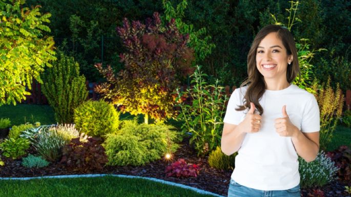 Estos son los mejores días de julio para sembrar y podar tus plantas, según el Feng Shui