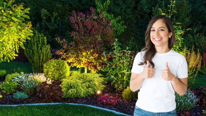 Estos son los mejores días de julio para sembrar y podar tus plantas, según el Feng Shui