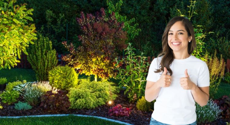Estos son los mejores días de julio para sembrar y podar tus plantas, según el Feng Shui