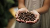 Foto ilustrativa de la nota titulada Golpe al bolsillo: la noticia que preocupa a los consumidores de café de Colombia