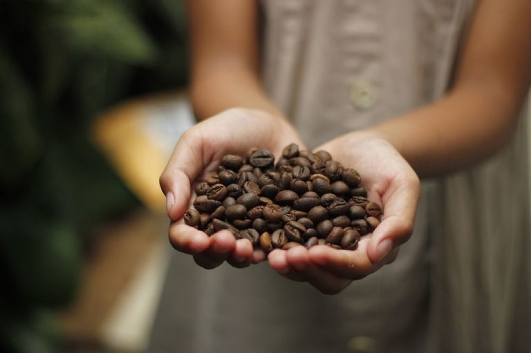grano de cafe