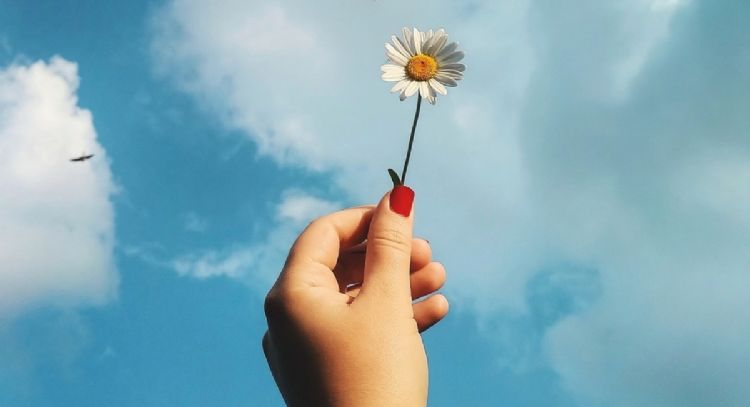 Dinero, estos son los 2 signos que serán premiados con una ola de suerte del 17 al 20 de julio