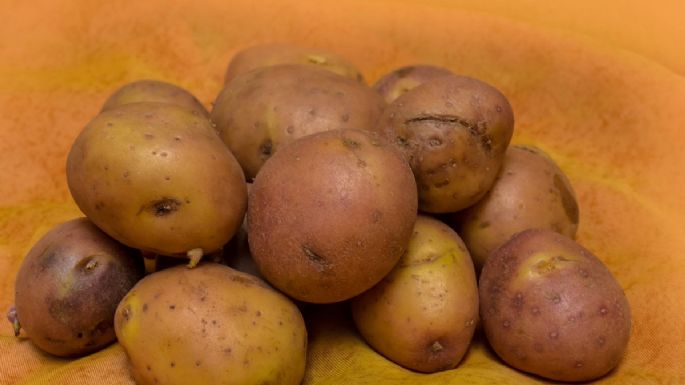 Esta es la razón por la que no debes comer papas verdes, según la ciencia