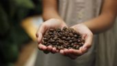Foto ilustrativa de la nota titulada Manten la calma antes de conocer cuántos kilos de café se consumen por año en Colombia, según estudios
