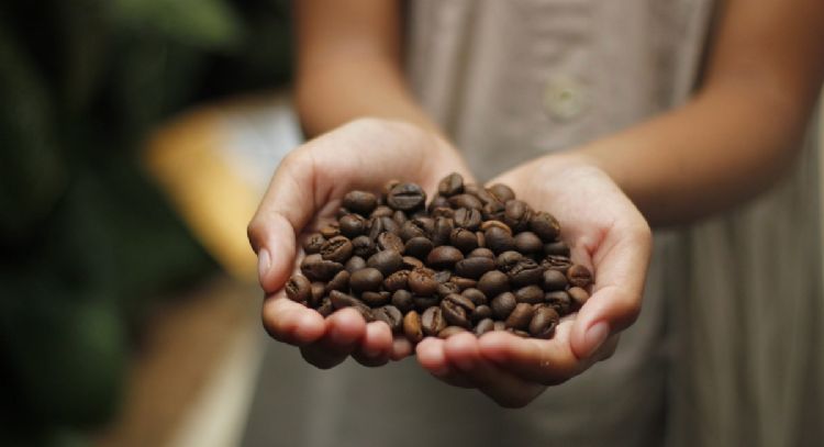 Manten la calma antes de conocer cuántos kilos de café se consumen por año en Colombia, según estudi