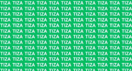 Sólo un auténtico genio puede encontrar la palabra 'Liza' en menos de 5 segundos