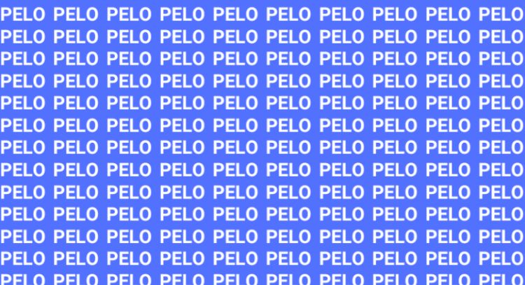 Solo una persona astuta puede encontrar la palabra 'Palo' en menos de 10 segundos