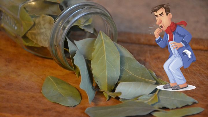 Dónde debes colocar una hoja de laurel para eliminar la tos seca