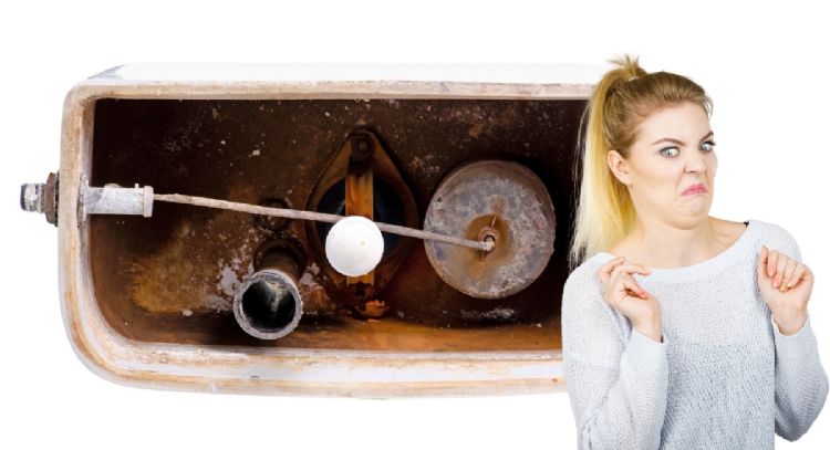 Dile adiós al sarro del tanque del inodoro con sólo 2 ingredientes