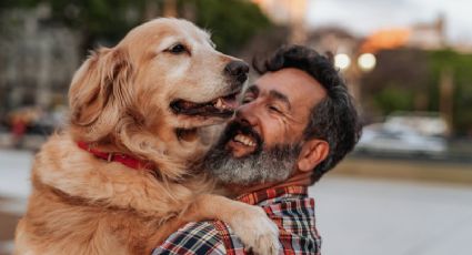 Toma asiento antes de conocer las 5 formas en las que tu perro te dice que te quiere