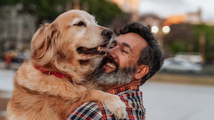 Toma asiento antes de conocer las 5 formas en las que tu perro te dice que te quiere