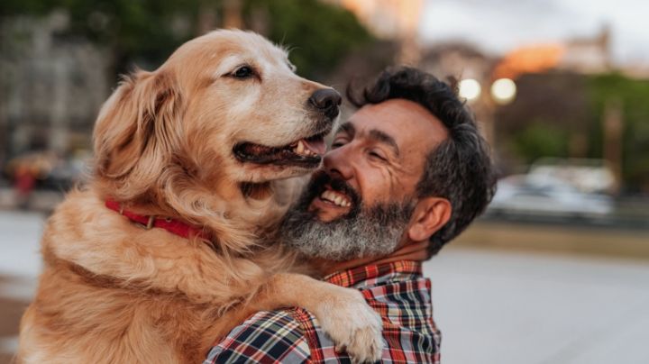 Toma asiento antes de conocer las 5 formas en las que tu perro te dice que te quiere