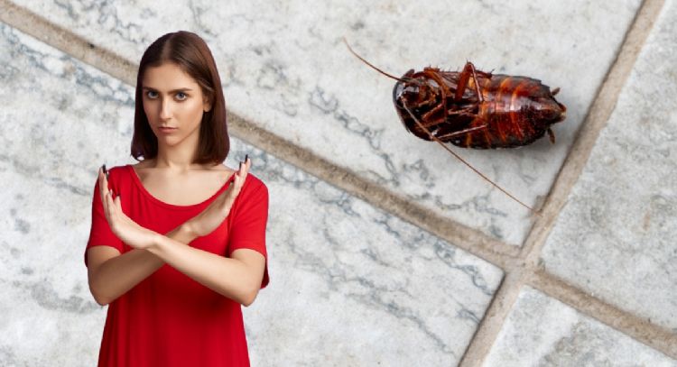 Qué debes poner en la puerta de tu casa para que no entren las cucarachas