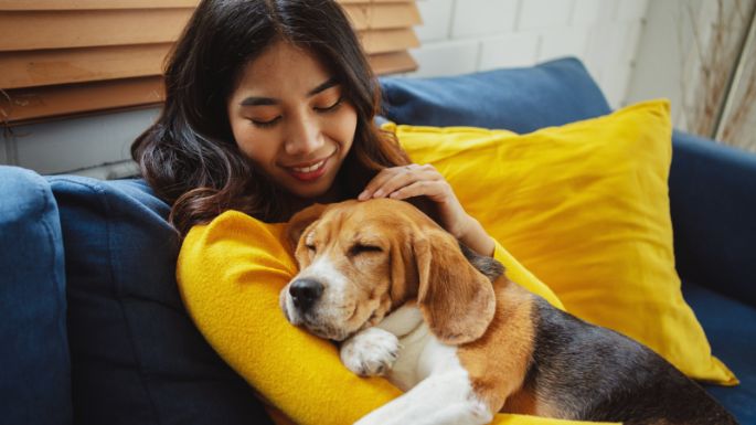 Estos son los 5 consejos que te ayudarán a ganarte la confianza de tu perro