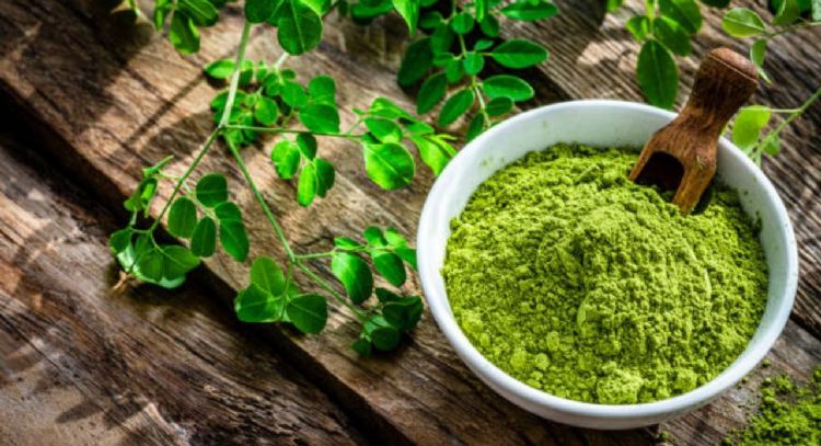 Oro puro para el jardín: la planta que combate enfermedades y pocos conocen