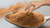 Foto ilustrativa de la nota titulada Conoce el truco de la canela para eliminar las cucarachas de tu hogar