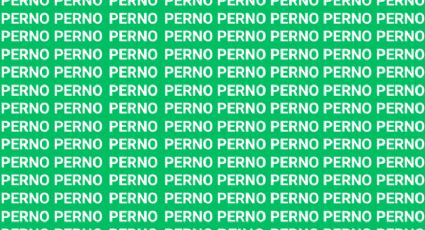 Sólo la mente de un maestro puede encontrar la palabra 'PEINO' en menos de 10 segundos