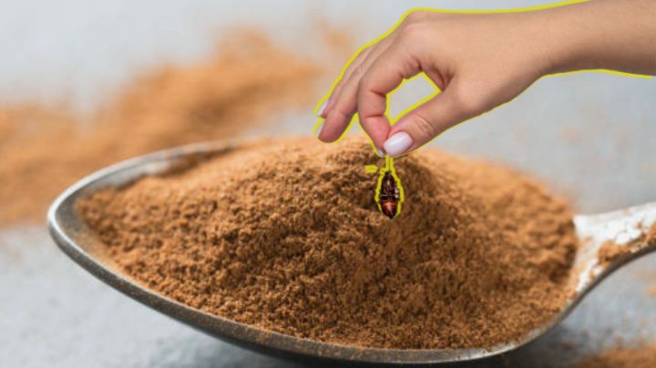 Conoce el truco de la canela para eliminar las cucarachas de tu hogar