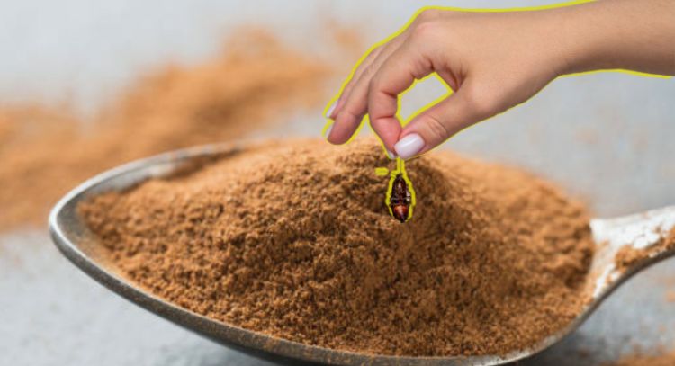 Conoce el truco de la canela para eliminar las cucarachas de tu hogar