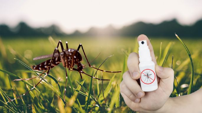 Cómo preparar un repelente casero para mosquitos con solo 3 ingredientes