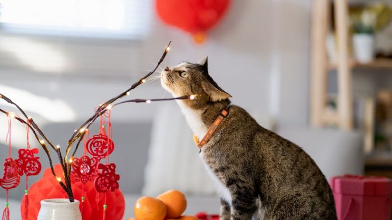 Las predicciones del Horóscopo Chino del 17 de agosto en el amor, salud y dinero