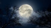 Foto ilustrativa de la nota titulada Los 2 signos que comenzarán un nuevo ciclo debido a la Superluna de agosto