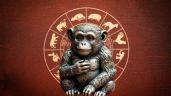 Foto ilustrativa de la nota titulada Mono de Metal: los 3 animales del horóscopo chino que recibirán una bendición la última semana de agosto
