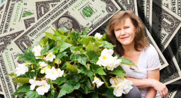 3 plantas con flores para atraer buena suerte, dinero y prosperidad