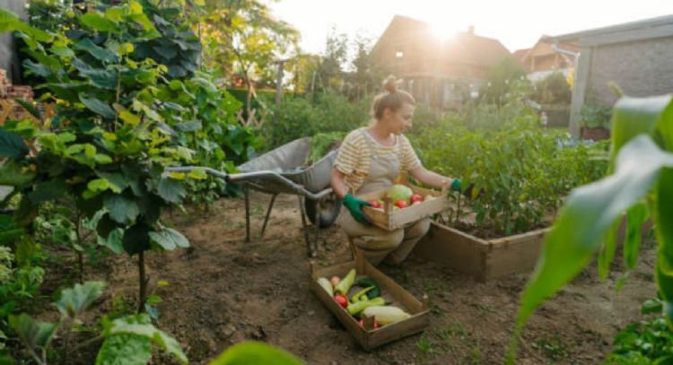 Estos son los 3 insectos que te ayudarán a que tu huerto estalle de frutos