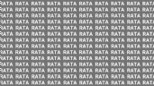 Foto ilustrativa de la nota titulada Sólo una mente muy brillante puede encontrar la palabra 'BATA' en menos de 10 segundos