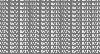 Sólo una mente muy brillante puede encontrar la palabra 'BATA' en menos de 10 segundos