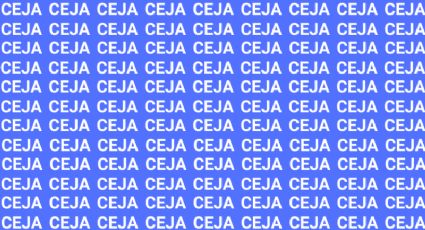 Sólo una persona muy ágil puede encontrar la palabra 'Cera' en menos de 10 segundos