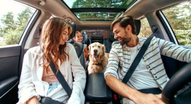 Cuál es la mejor hora para salir de viaje por carretera en Colombia, según expertos