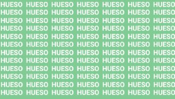 Sólo una mente muy brillante puede encontrar la palabra 'Huevo' en menos de 10 segundos