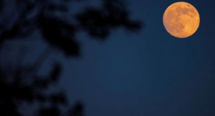 Superluna de Agosto 2024: cuándo y dónde verla desde Colombia