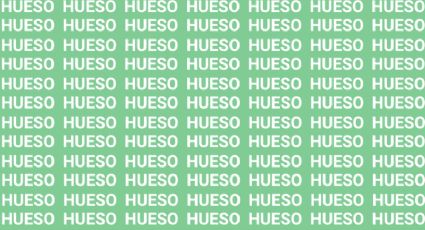 Sólo una mente muy brillante puede encontrar la palabra 'Huevo' en menos de 10 segundos